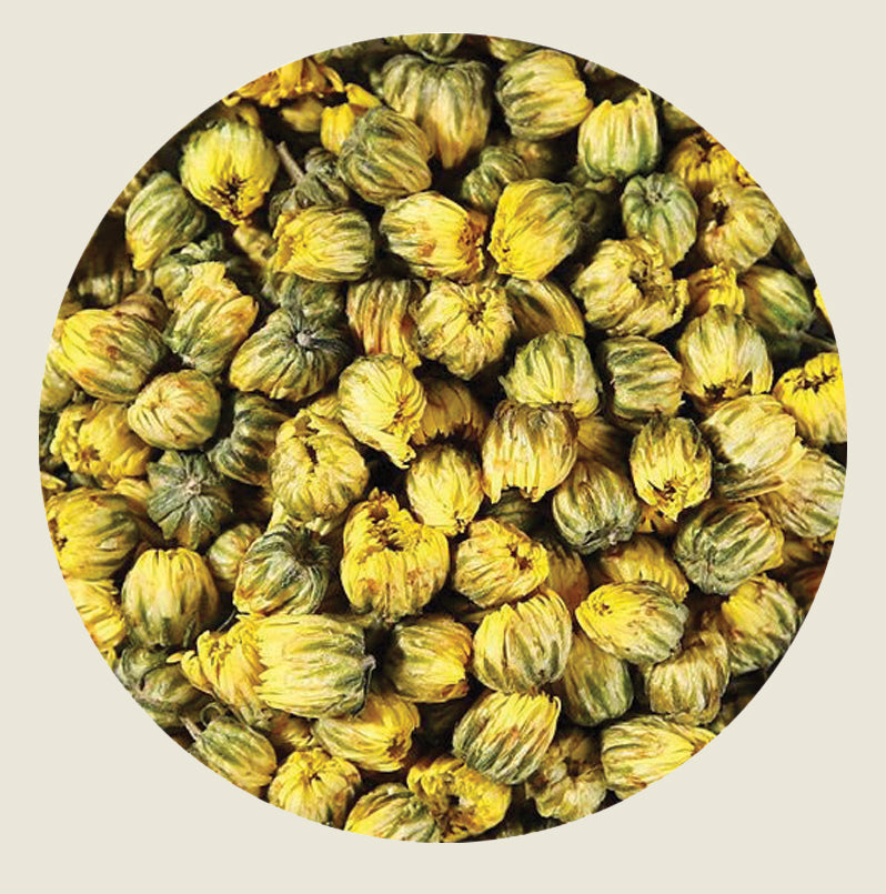 Chrysanthemum Buds (Chinese Herbal Tea)